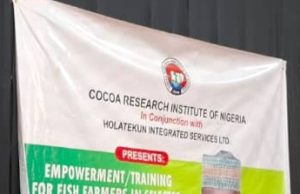 Just In: Big Catch! Hon. Olafisoye Empowers 600 With β¦150m Fish Project