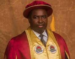 From Classroom to Polls: Senate Screens Law Professor Amupitan as INEC Chair